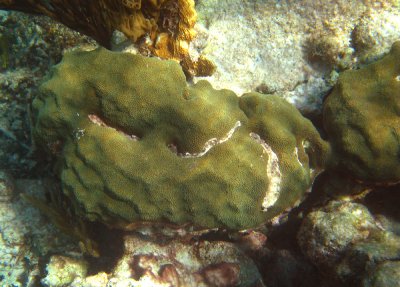 IMG_1703.JPG