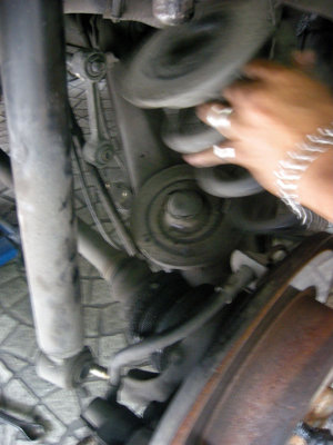DSCN3039.jpg
