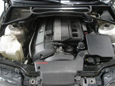 g1/94/379294/3/110413145.zGOK496f.jpg