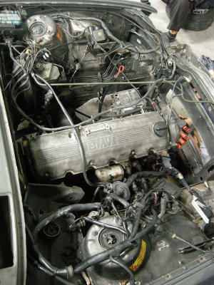 DSCN5153.jpg