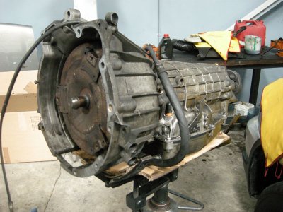 DSCN5154.jpg
