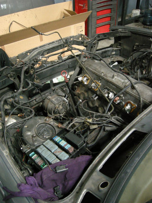 DSCN5171.jpg
