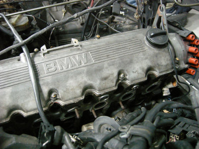 DSCN5214.jpg