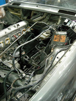 DSCN5267.jpg