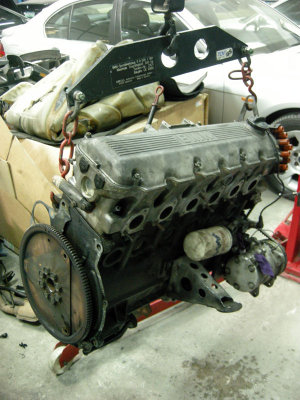 DSCN5339.jpg