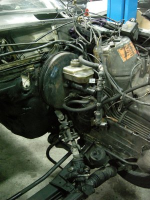 DSCN5361.jpg