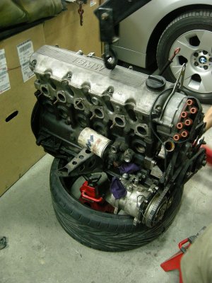 DSCN5422.jpg