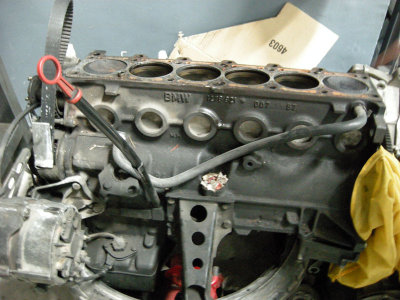 DSCN7975.jpg
