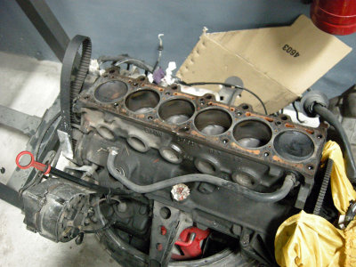 DSCN7974.jpg