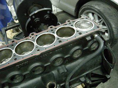 DSCN8060.jpg