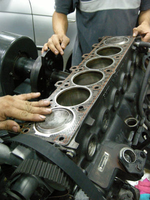 DSCN8099.jpg