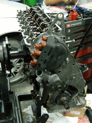 DSCN8136.jpg