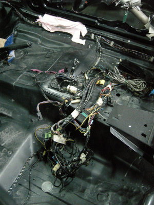 DSCN8255.jpg