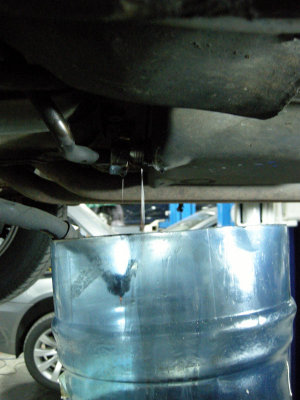 DSCN8842.jpg