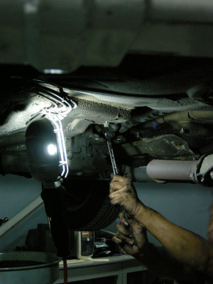 DSCN8882.jpg