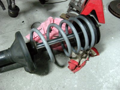 DSCN9205.jpg