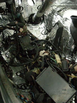 DSCN9266.jpg