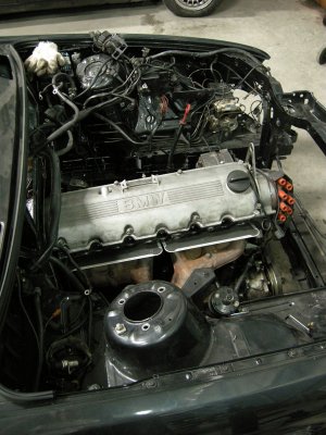 DSCN9540.jpg
