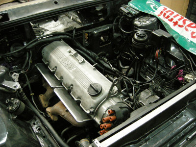 DSCN9729.jpg