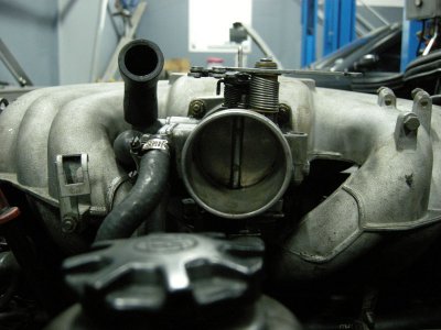 DSCN9788.jpg