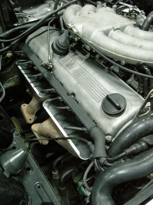 DSCN9808.jpg