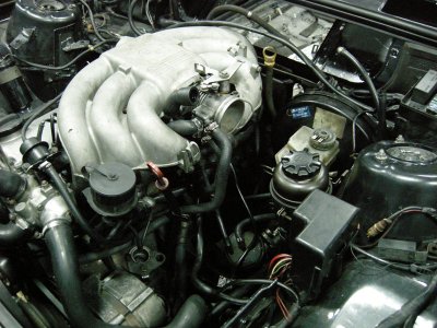 DSCN9816.jpg