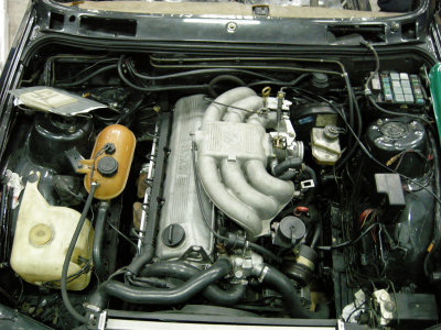 DSCN9968.jpg