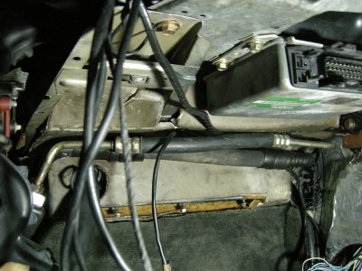 DSCN0560.jpg