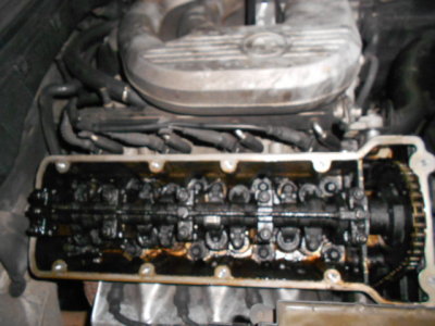 DSCN2967.JPG
