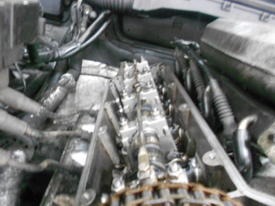DSCN3118.JPG