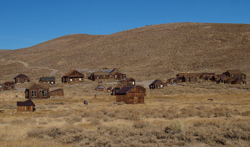 PA257552.jpg