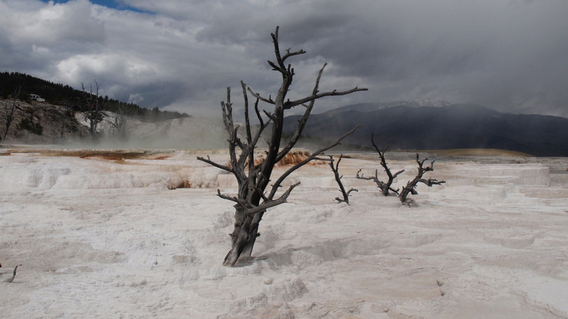 yellowstone_ss_10_003.JPG
