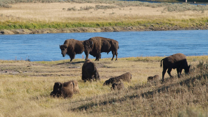 yellowstone_ss_10_052.JPG