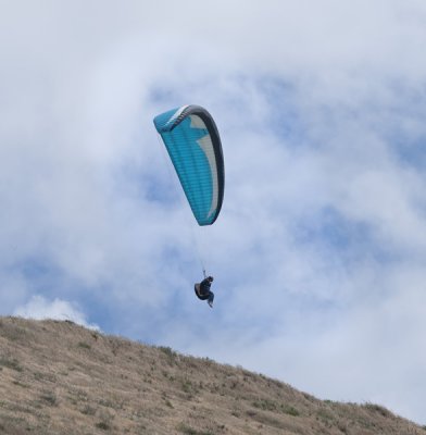 paraglider