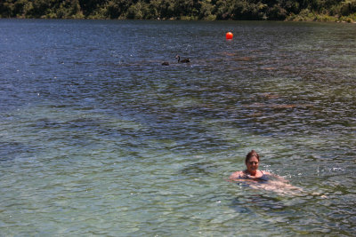 Beth and Black Swans- Lake Okataina