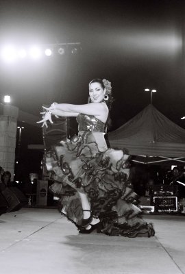 Flamenco3