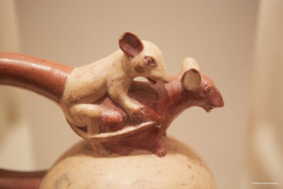 Incas already had some ideas
