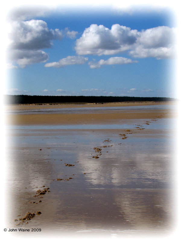 Tracks In The Sand