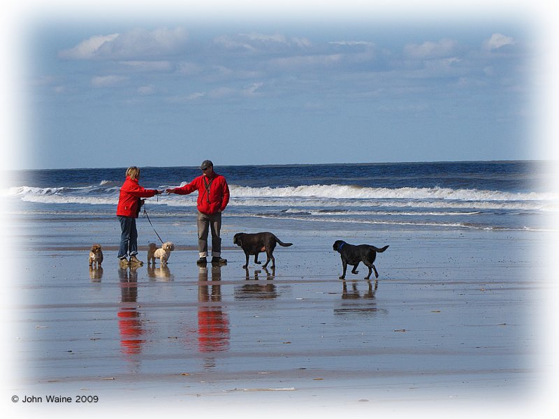 His & Hers dogs (Jack Vettriano style?)