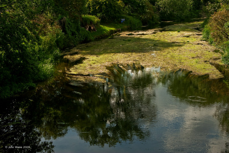 River At Santon Downham