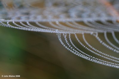 Macro Jewelry