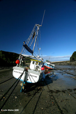 IMG_6733 copy.jpg