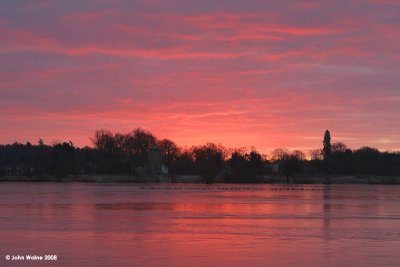 Birds on Ice at Sunrise 1