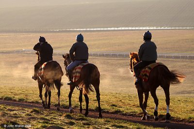 Early Morning on The Gallops 2