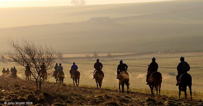 Early Morning on The Gallops 1