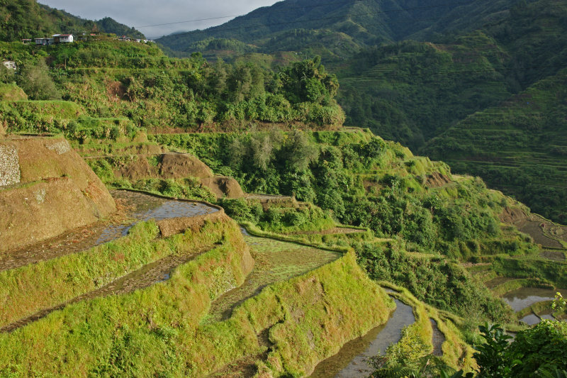Banaue Morning.jpg