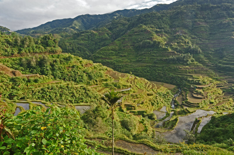 Banaue Panorama.jpg