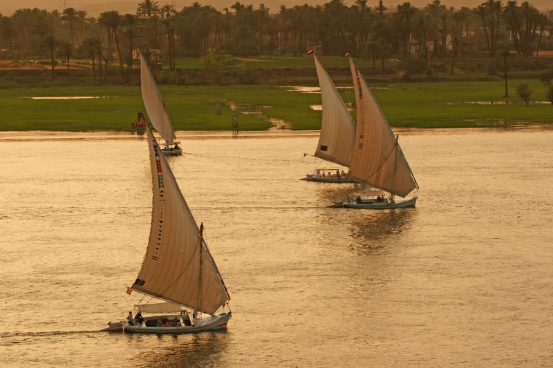 Fellucas on the Nile.jpg