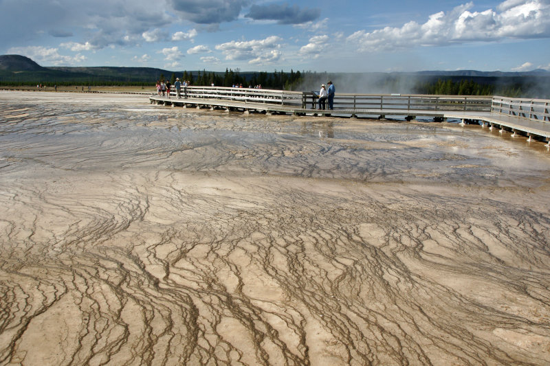 Mud Lines.jpg
