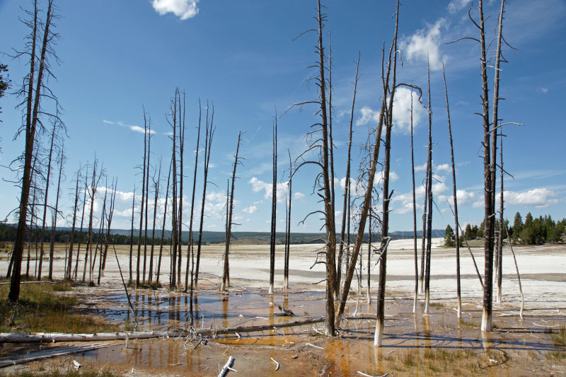 Midway Geyser Basin.jpg